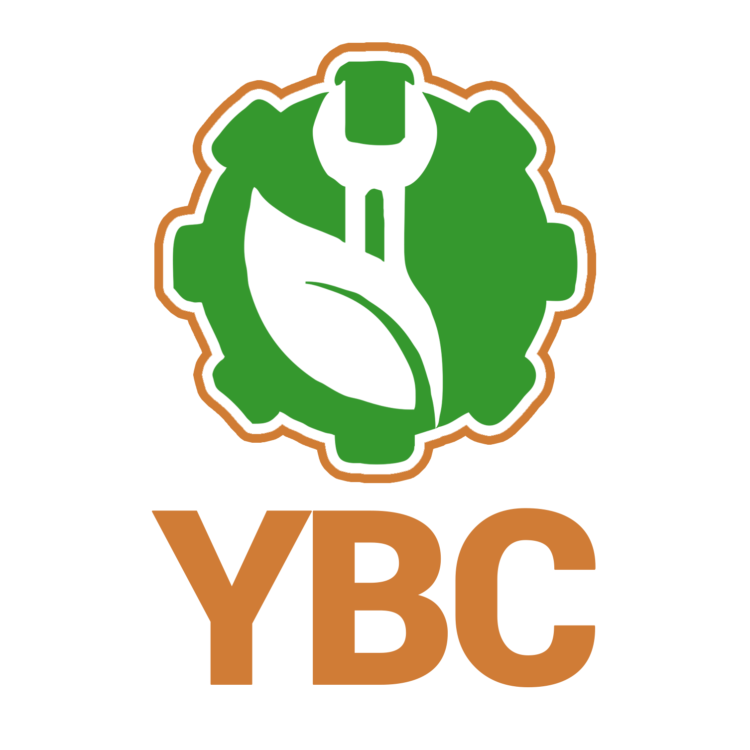 Logo de YBC